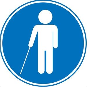 DISABILITY OWNED SMALL BUSINESS